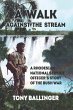 A Walk Against The Stream (eBook, ePUB) - Bild 1