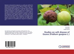 Studies on wilt disease of Guava (Psidium guajava L.) - Naz, Asma;Naz, Huma;Ashraf, Shabbir