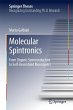 Molecular Spintronics - Bild 1