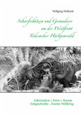 Scharfschützen und Grenadiere an der Westfront - Todesacker Hürtgenwald (eBook, ePUB)