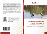 L'hivernage des limicoles (Aves, Charadrii) en Mauritanie méridionale