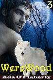 WereWood 3 (WereWood Chronicles, #3) (eBook, ePUB)