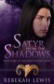 Satyr from the Shadows (The Cursed Satyroi, #3) (eBook, ePUB)
