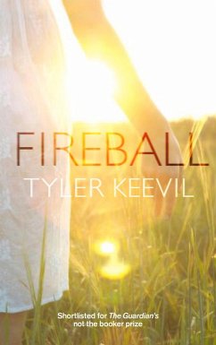 Cover Fireball (eBook, ePUB)
