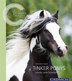 Tinker Ponys - Slawik, Christiane