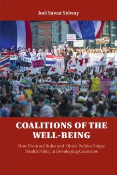 Coalitions of the Well-being (eBook, PDF) - Selway, Joel Sawat