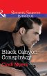 Black Canyon Conspiracy (eBook, ePUB) - Bild 1