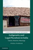 Indigeneity and Legal Pluralism in India (eBook, PDF)