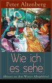 Wie ich es sehe (Skizzen aus dem Wiener Alltagsleben) (eBook, ePUB)