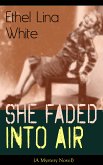 She Faded Into Air (A Mystery Novel) (eBook, ePUB)