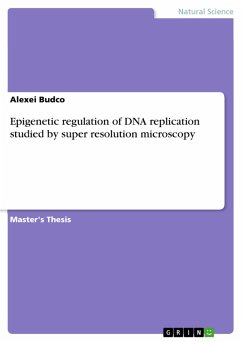 Epigenetic regulation of DNA replication studied by super resolution microscopy (eBook, PDF)