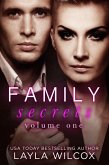 Family Secrets Volume 1 (The Hauser Family, #1) (eBook, ePUB)