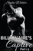 Billionaire's Captive, Part 1-3 (Dark Erotica) (eBook, ePUB)