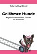 Gelähmte Hunde - Bild 1