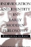 Individuation and Identity in Early Modern Philosophy: Descartes to Kant