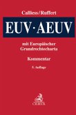 EUV/AEUV, Kommentar