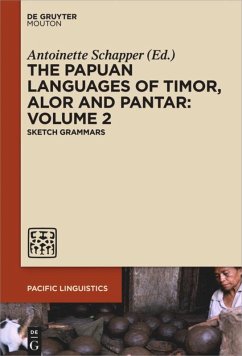 The Papuan Languages of Timor, Alor and Pantar. Volume 2