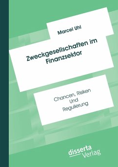 Cover Zweckgesellschaften im Finanzsektor: Chancen, Risiken und Regulierung