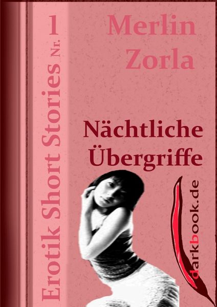 Nächtliche Übergriffe (eBook, ePUB) Nächtliche Übergriffe (eBook, ePUB)