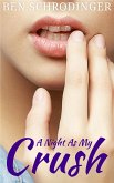 A Night As My Crush (eBook, ePUB)