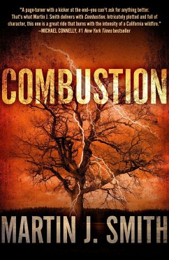 Combustion - Smith, Martin J