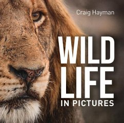 Wildlife in Pictures - Hayman, Craig