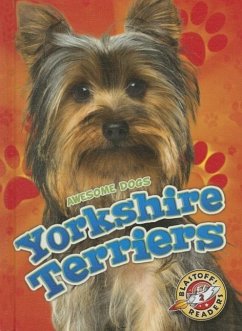 Yorkshire Terriers - Schuh, Mari C