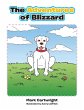 The Adventures of Blizzard - Bild 1