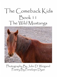 The Comeback Kids--Book 11--The Wild Mustangs - Dyan, Penelope
