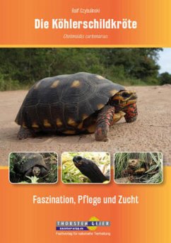 Die Köhlerschildkröte Chelonoidis carbonarius - Czybulinski, Ralf