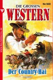 Die großen Western 100 (eBook, ePUB)