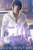 Same Time, Next Year (eBook, ePUB)