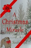 A Christmas Miracle (Christmas Miracle Series, #1) (eBook, ePUB)