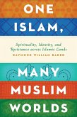 One Islam, Many Muslim Worlds (eBook, PDF)