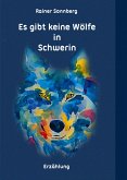 Es gibt keine Wölfe in Schwerin (eBook, ePUB)
