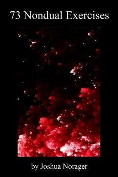 Cover 73 Nondual Exercises (eBook, ePUB)