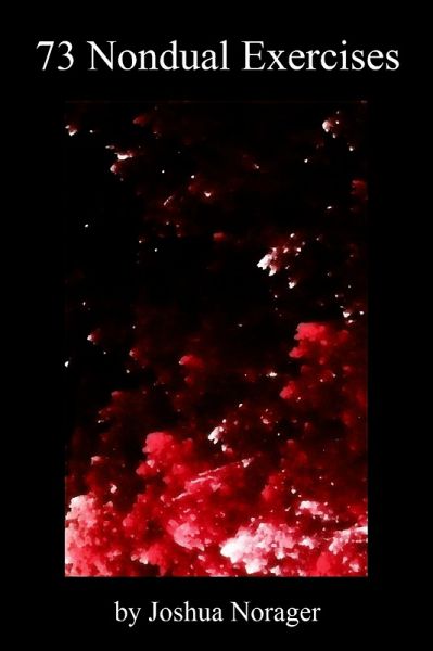 73 Nondual Exercises (eBook, ePUB)