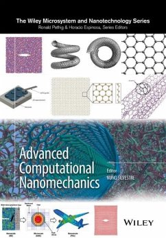 Advanced Computational Nanomechanics - Silvestre, Nuno