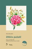 Zilsce puselc, m. DVD