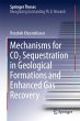 Mechanisms for CO2 Sequestration in... - Bild 1
