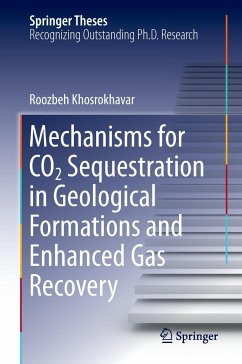 Mechanisms for CO2 Sequestration in Geological Formations and Enhanced Gas Recovery - Khosrokhavar, Roozbeh