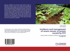 Incidence and management of severe mosaic of potato caused by PVY - Mishra, Ranima;Debnath, Palash