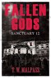 Sanctuary 12 (Fallen Gods Saga, #1)... - Bild 1
