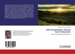 Salt Precipitation during Gas Production