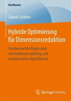 Hybride Optimierung für Dimensionsreduktion - Lückehe, Daniel