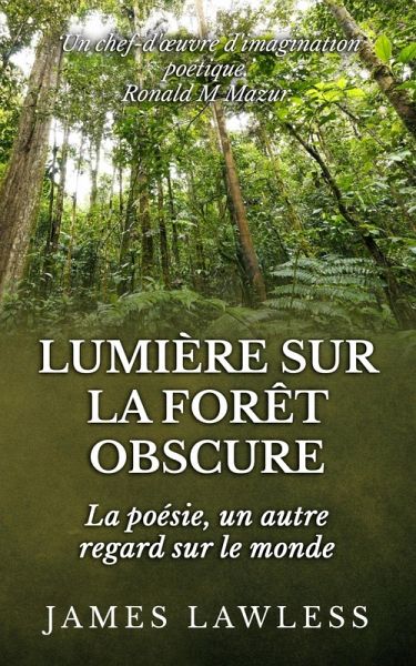 Lumière sur la Forêt Obscure (eBook, ePUB)