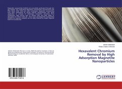 Hexavalent Chromium Removal by High Adsorption Magnetite Nanoparticles