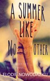 A Summer Like No Other (Broken Dreams: Em & Nick, #1) (eBook, ePUB)