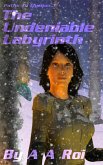 The Undeniable Labyrinth (eBook, ePUB)