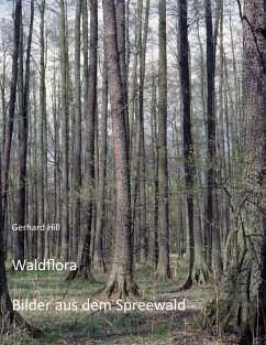 Waldflora - Hill, Gerhard